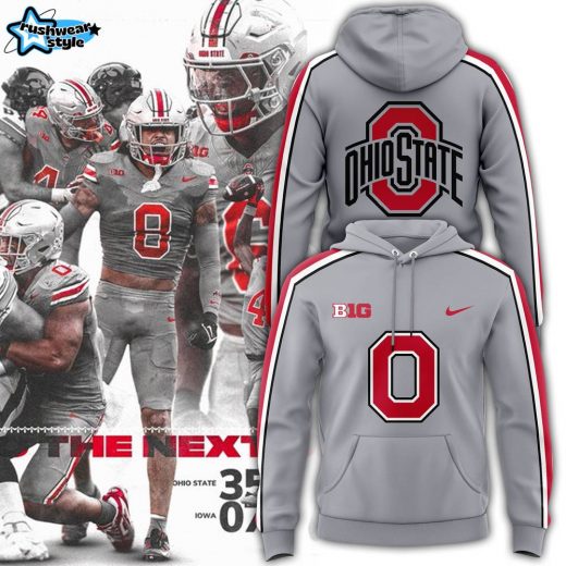 Men’s Ohio State Buckeyes 2024 Gray Nike Game Hoodie – College Football Apparel